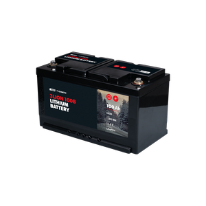 3LION: La Batteria Litio